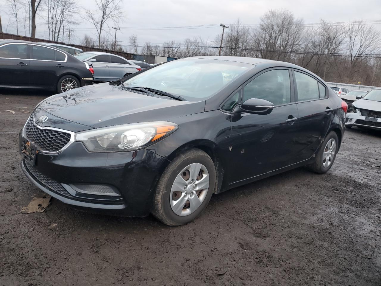 KIA FORTE 2015 knafx4a62f5303922