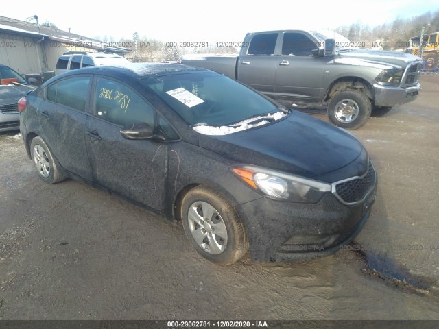 KIA FORTE 2015 knafx4a62f5400344