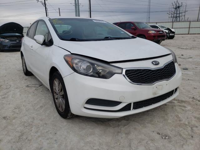 KIA FORTE LX 2014 knafx4a63e5094267