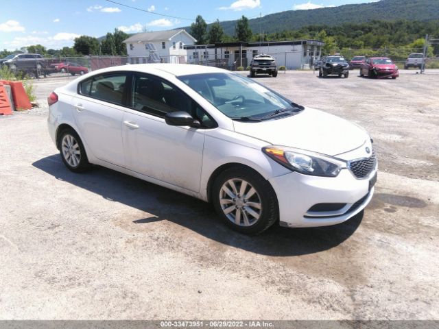 KIA FORTE 2014 knafx4a63e5101203