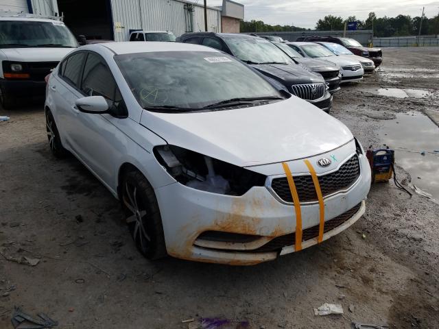 KIA FORTE LX 2014 knafx4a63e5202189