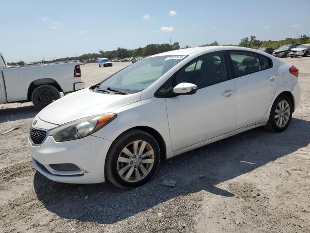 KIA FORTE 2014 knafx4a63e5237718