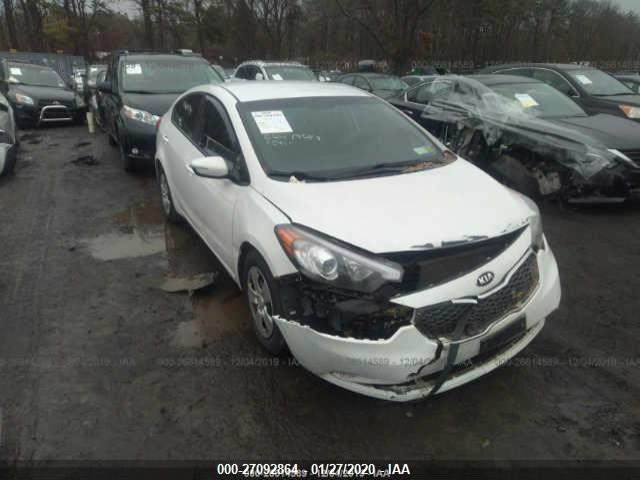 KIA FORTE 2015 knafx4a63f5260840