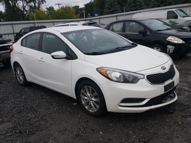 KIA NULL 2015 knafx4a63f5333950