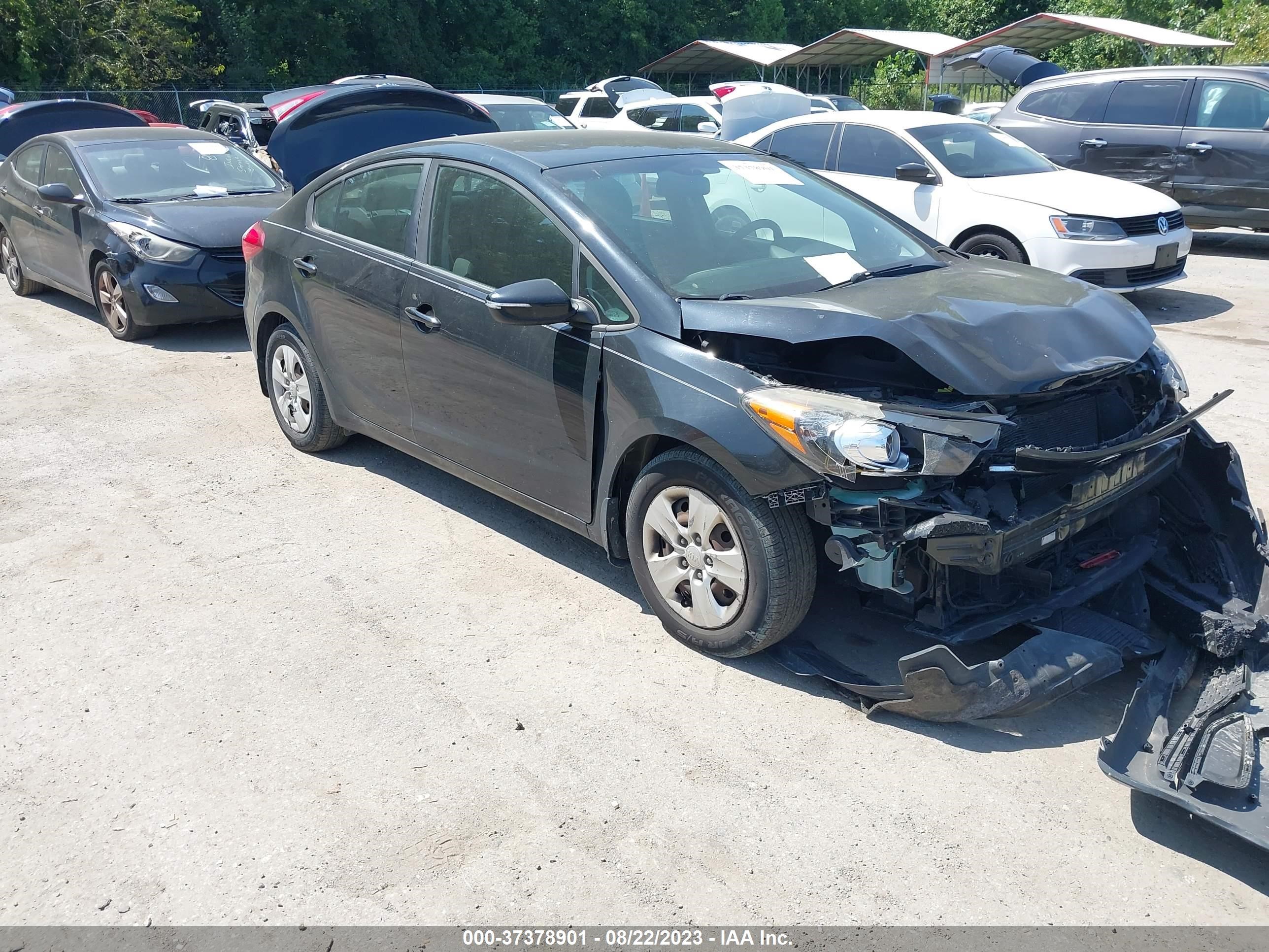 KIA FORTE 2016 knafx4a63g5526617