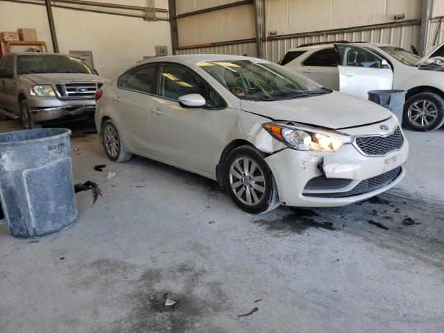 KIA NULL 2014 knafx4a64e5063626