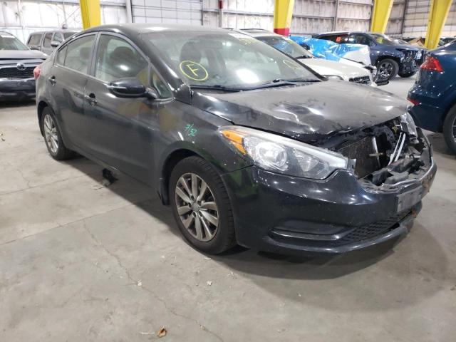 KIA FORTE LX 2014 knafx4a64e5075405