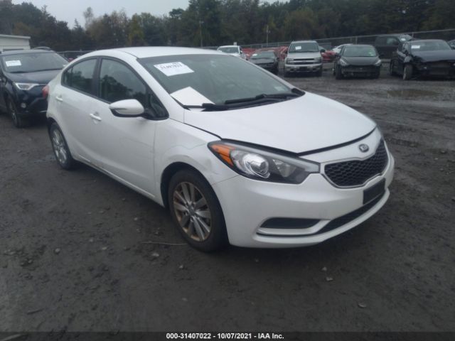 KIA FORTE 2014 knafx4a64e5165301