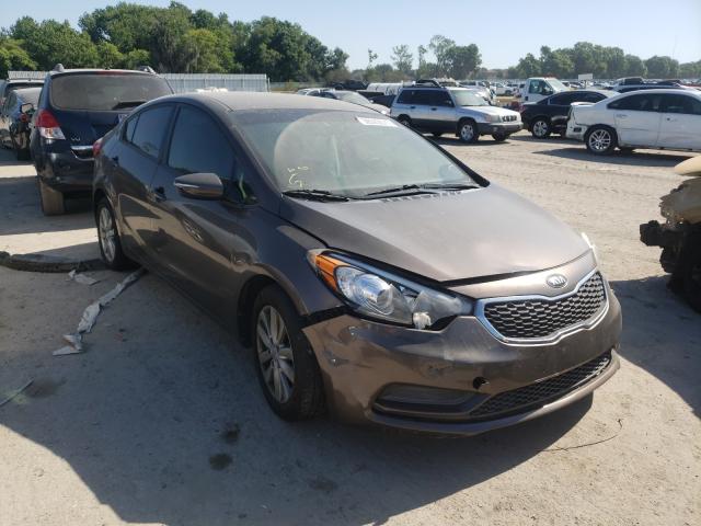 KIA FORTE LX 2014 knafx4a64e5194894