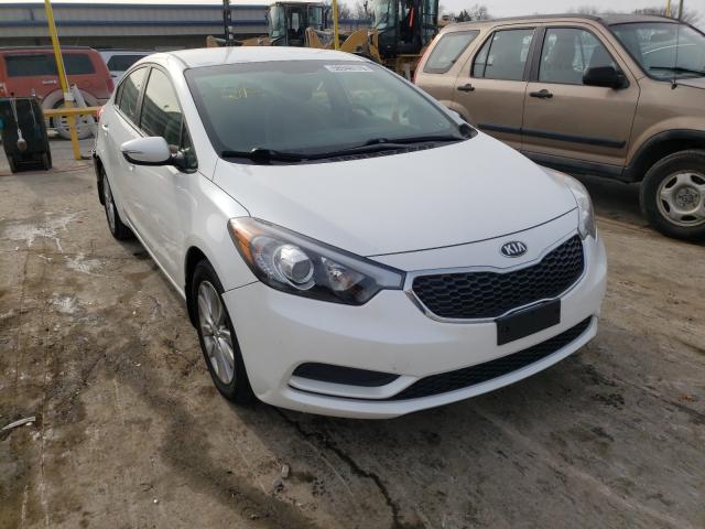 KIA FORTE LX 2014 knafx4a64e5204808