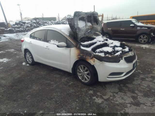 KIA FORTE 2014 knafx4a64e5219888