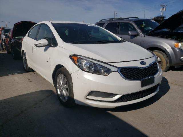 KIA FORTE LX 2014 knafx4a64e5226002