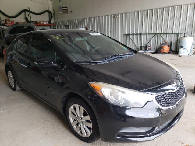 KIA FORTE LX 2014 knafx4a64e5230809