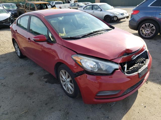 KIA FORTE LX 2014 knafx4a64e5232723