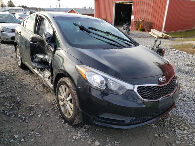 KIA FORTE LX 2014 knafx4a64e5233080