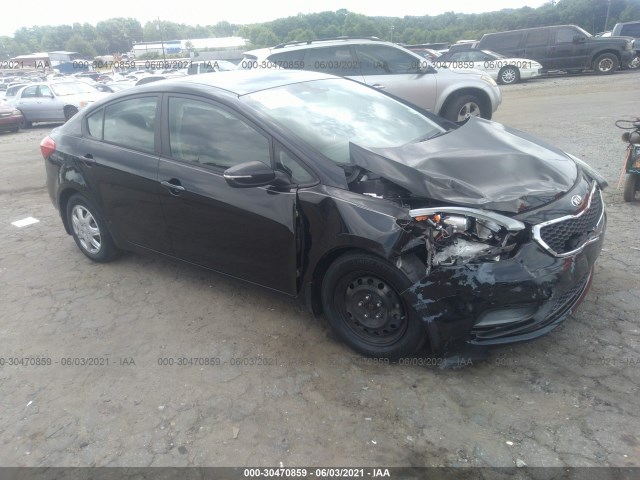 KIA FORTE 2015 knafx4a64f5272057