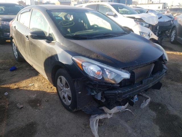 KIA FORTE 2015 knafx4a64f5310404