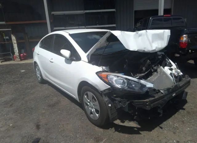 KIA FORTE 2016 knafx4a64g5497130