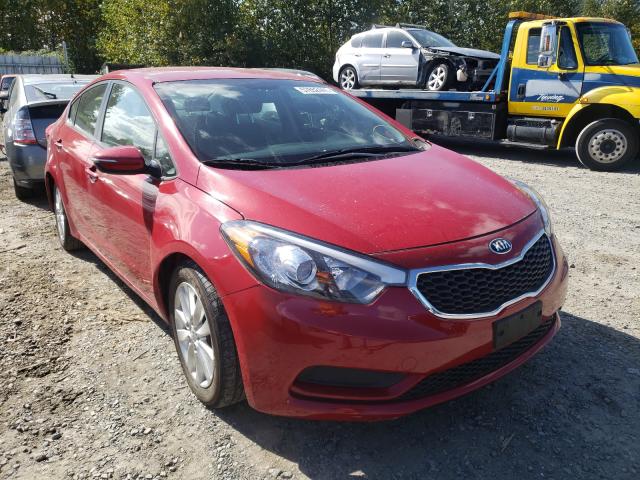 KIA FORTE LX 2016 knafx4a64g5610462