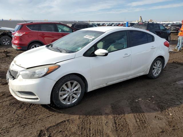 KIA FORTE 2014 knafx4a65e5123574