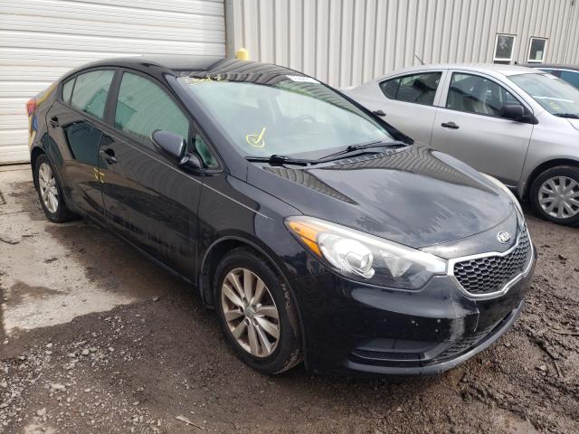 KIA FORTE LX 2014 knafx4a65e5139368