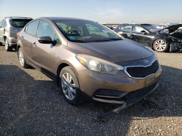 KIA FORTE LX 2014 knafx4a65e5177618