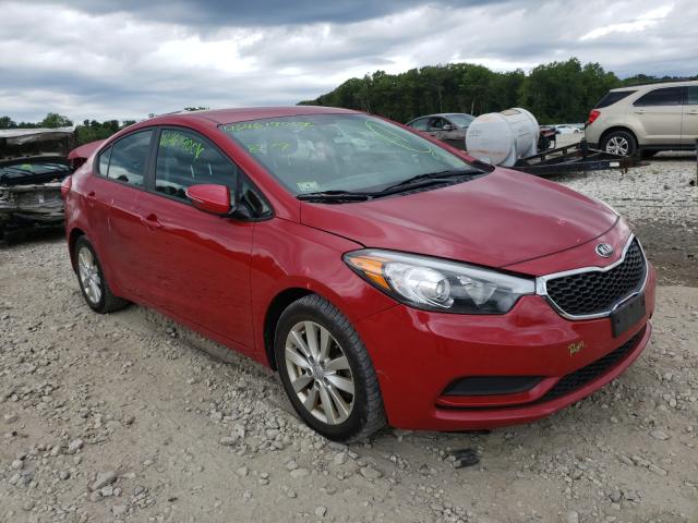 KIA FORTE LX 2014 knafx4a65e5178400