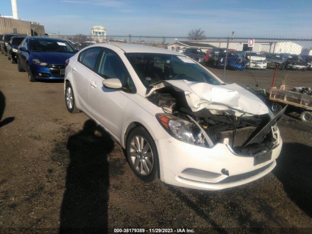 KIA FORTE 2014 knafx4a65e5190143