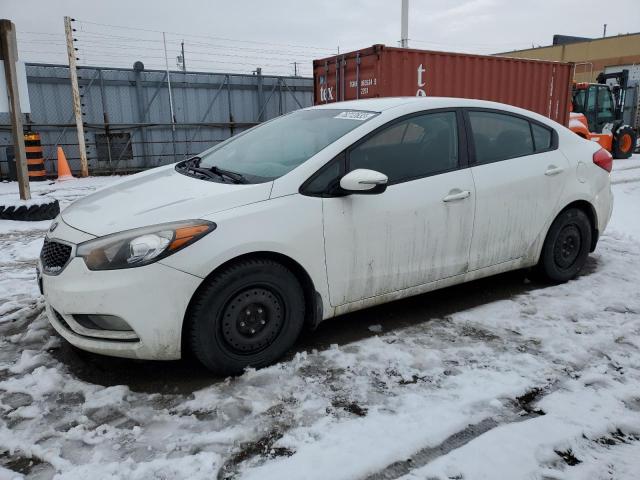 KIA FORTE 2014 knafx4a65e5251992