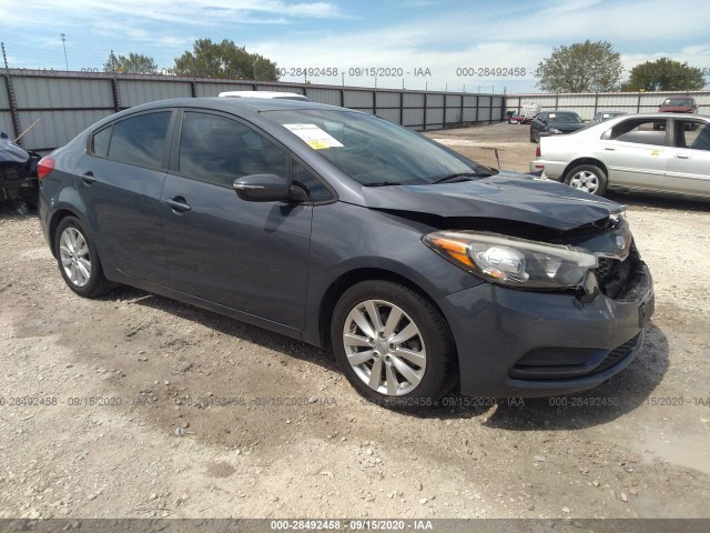 KIA FORTE 2015 knafx4a65f5274125