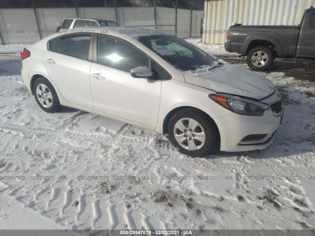 KIA FORTE 2015 knafx4a65f5336977