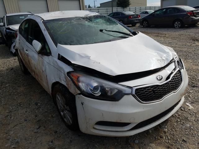 KIA FORTE LX 2016 knafx4a65g5503873