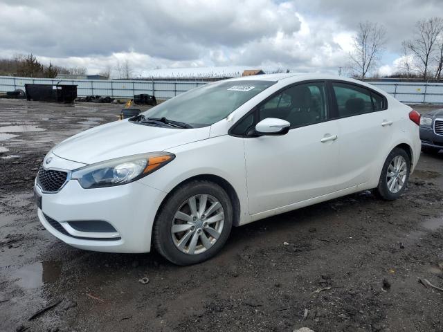 KIA FORTE 2014 knafx4a66e5122109