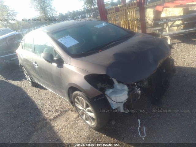 KIA FORTE 2014 knafx4a66e5126466