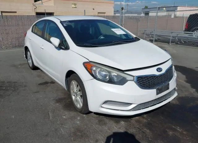 KIA FORTE 2014 knafx4a66e5241486