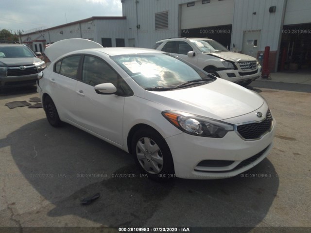 KIA FORTE 2015 knafx4a66f5418426