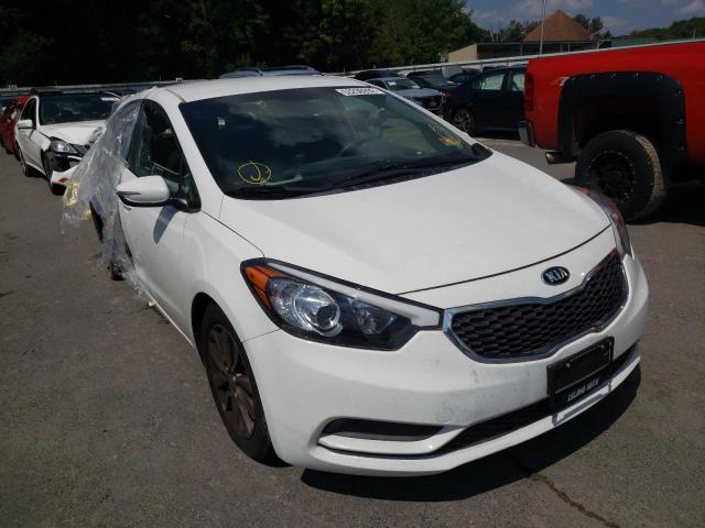 KIA FORTE 2016 knafx4a66g5491975