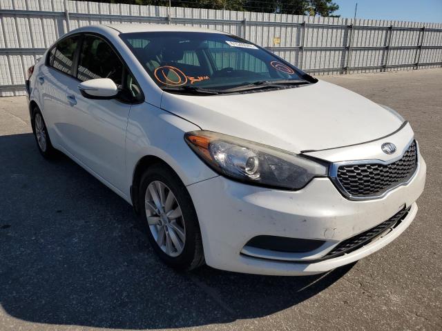 KIA FORTE LX 2014 knafx4a67e5099682