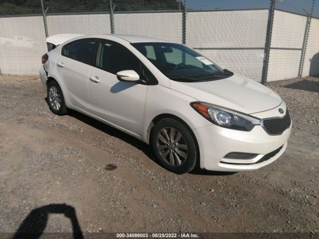 KIA FORTE 2014 knafx4a67e5122118