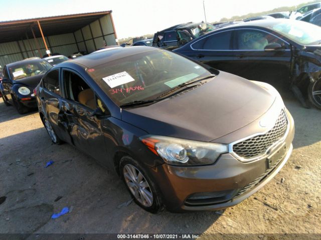 KIA FORTE 2014 knafx4a67e5205290