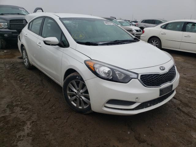 KIA FORTE LX 2014 knafx4a67e5220081