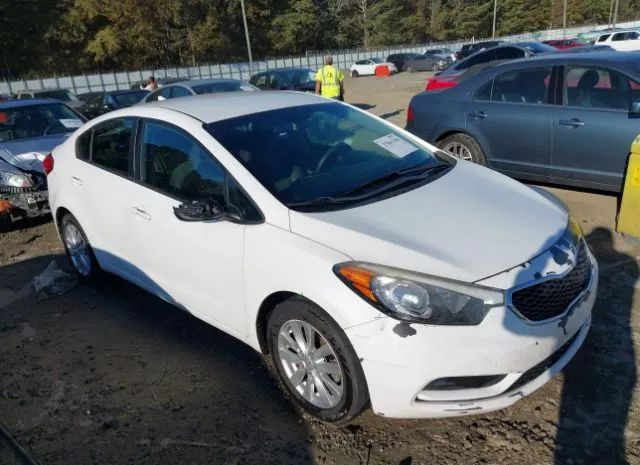 KIA FORTE 2014 knafx4a67e5228455