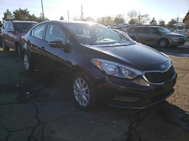 KIA FORTE LX 2014 knafx4a67e5239410