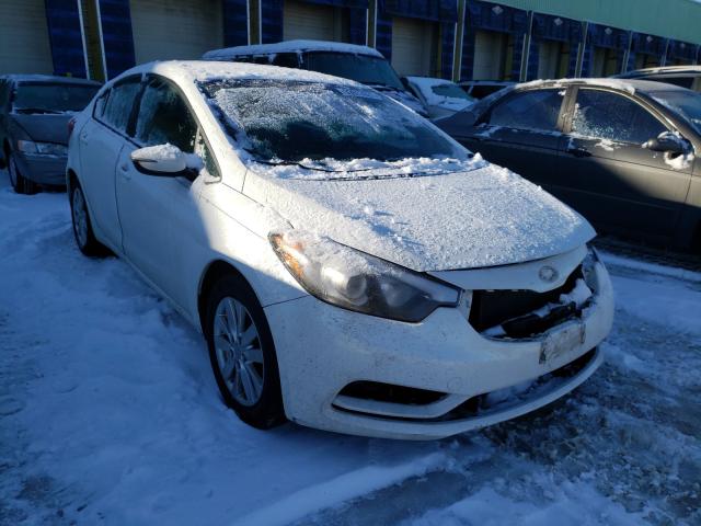 KIA FORTE LX 2015 knafx4a67f5307366