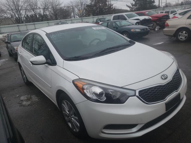 KIA NULL 2015 knafx4a67f5385727