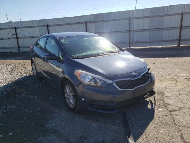 KIA NULL 2015 knafx4a67f5396520