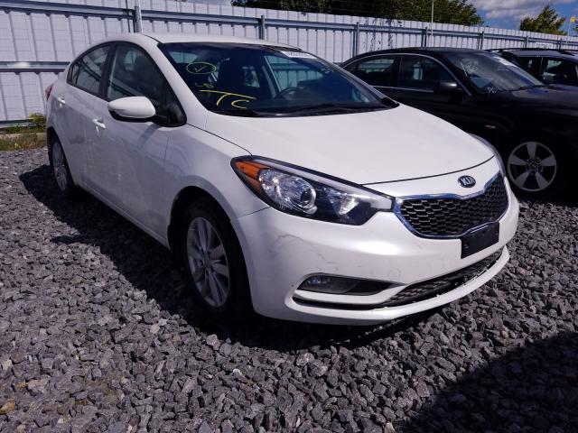 KIA NULL 2016 knafx4a67g5619026