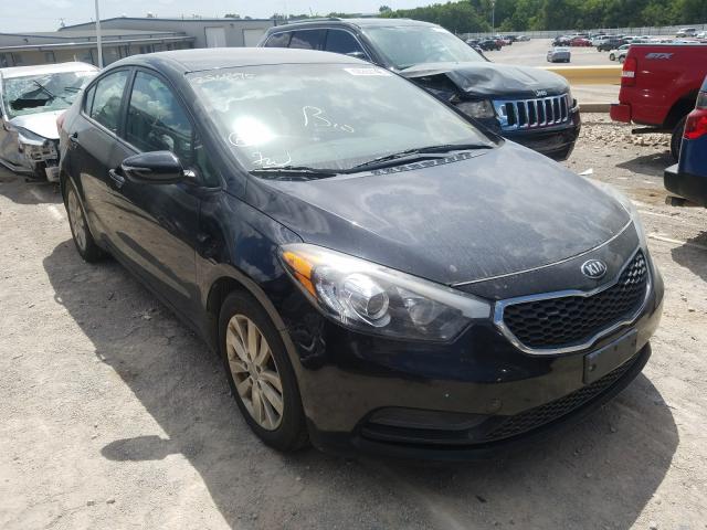 KIA NULL 2015 knafx4a68f5256895