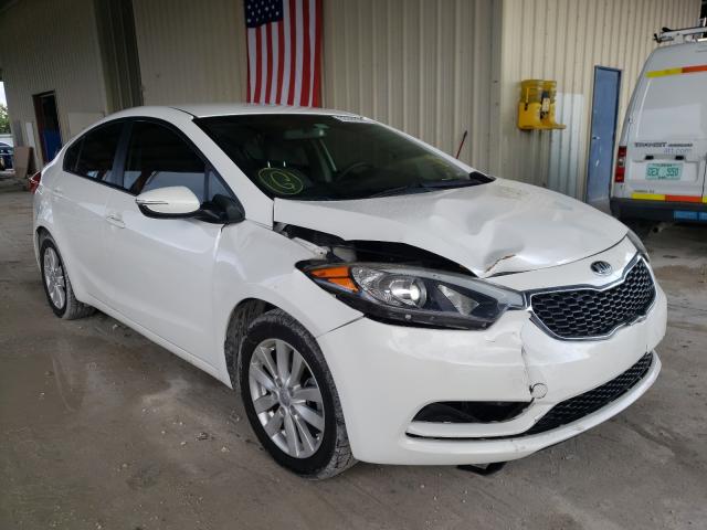 KIA FORTE LX 2014 knafx4a69e5127420