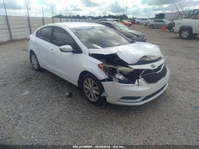 KIA FORTE 2014 knafx4a69e5159638